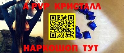 стафф Камышлов