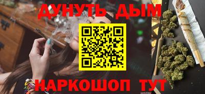 стафф Камышлов