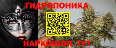 стафф Камышлов