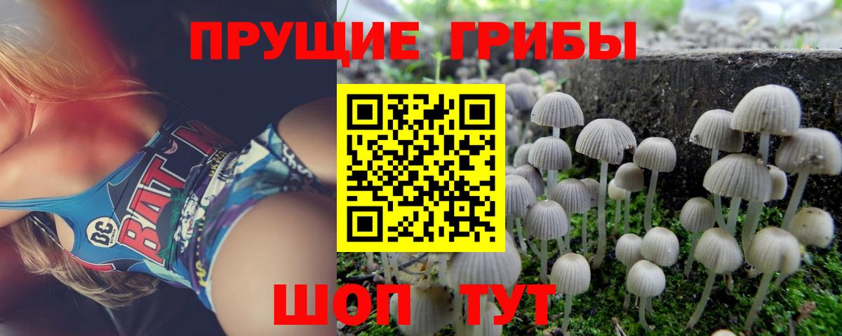 хочу наркоту  Галлюциногенные грибы ЛСД  Вход с VPN  Хасавюрт 